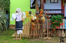 Jurmak 2019